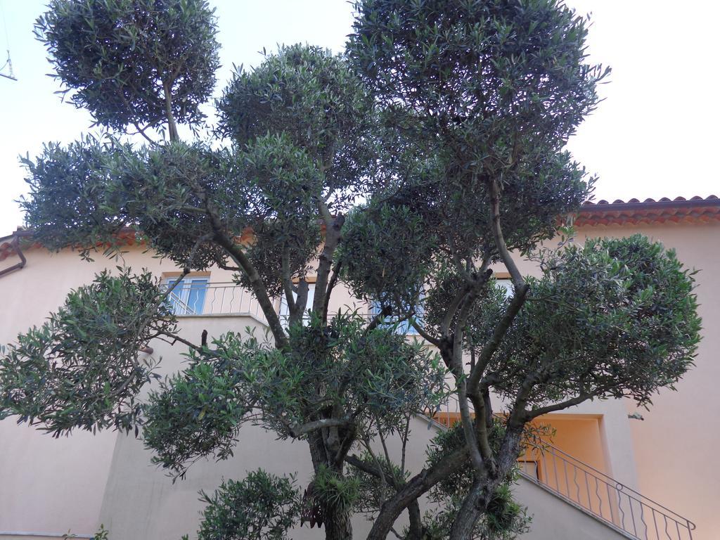 Appartement Villa Angelina Grimaud Zewnętrze zdjęcie